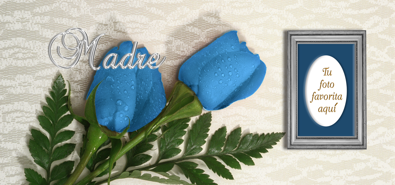 2 Roses Blue Silver Madre (Spanish)